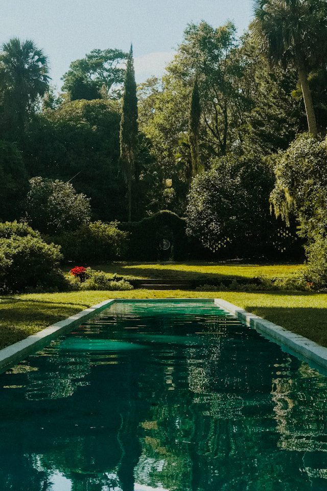 A pool surrounded by lush trees in Alfred B.Maclay Gardens State Park, Tallahassee, Florida