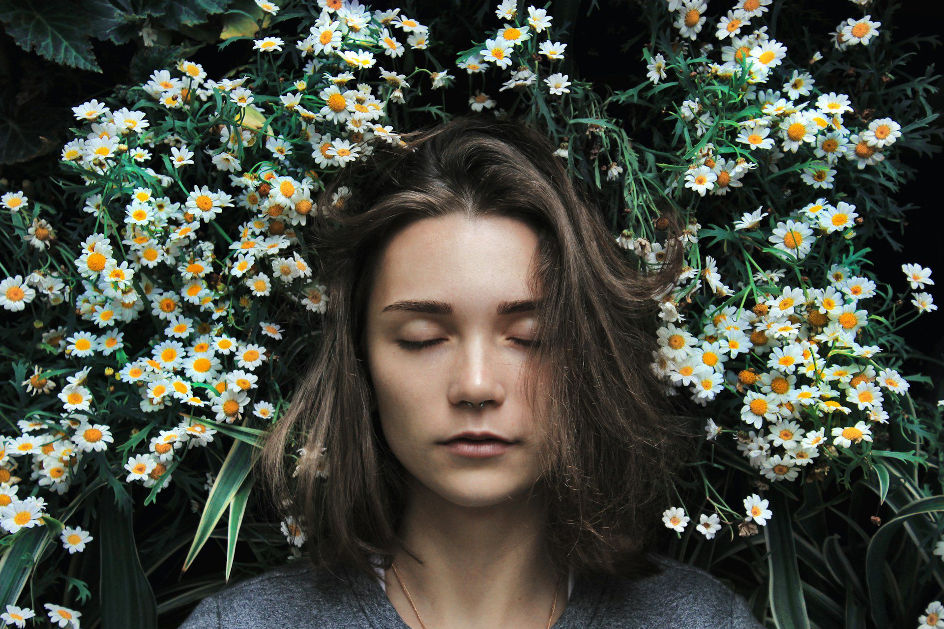 Person asleep in the middle of white daisies